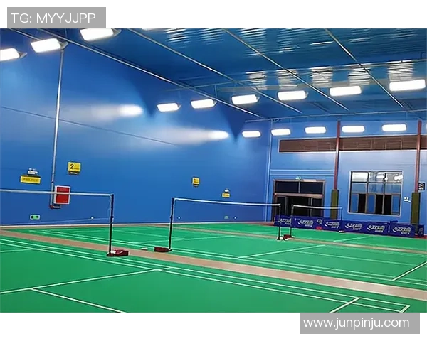 杭州羽毛球队防反战术解析及其在比赛中的应用与效果分析